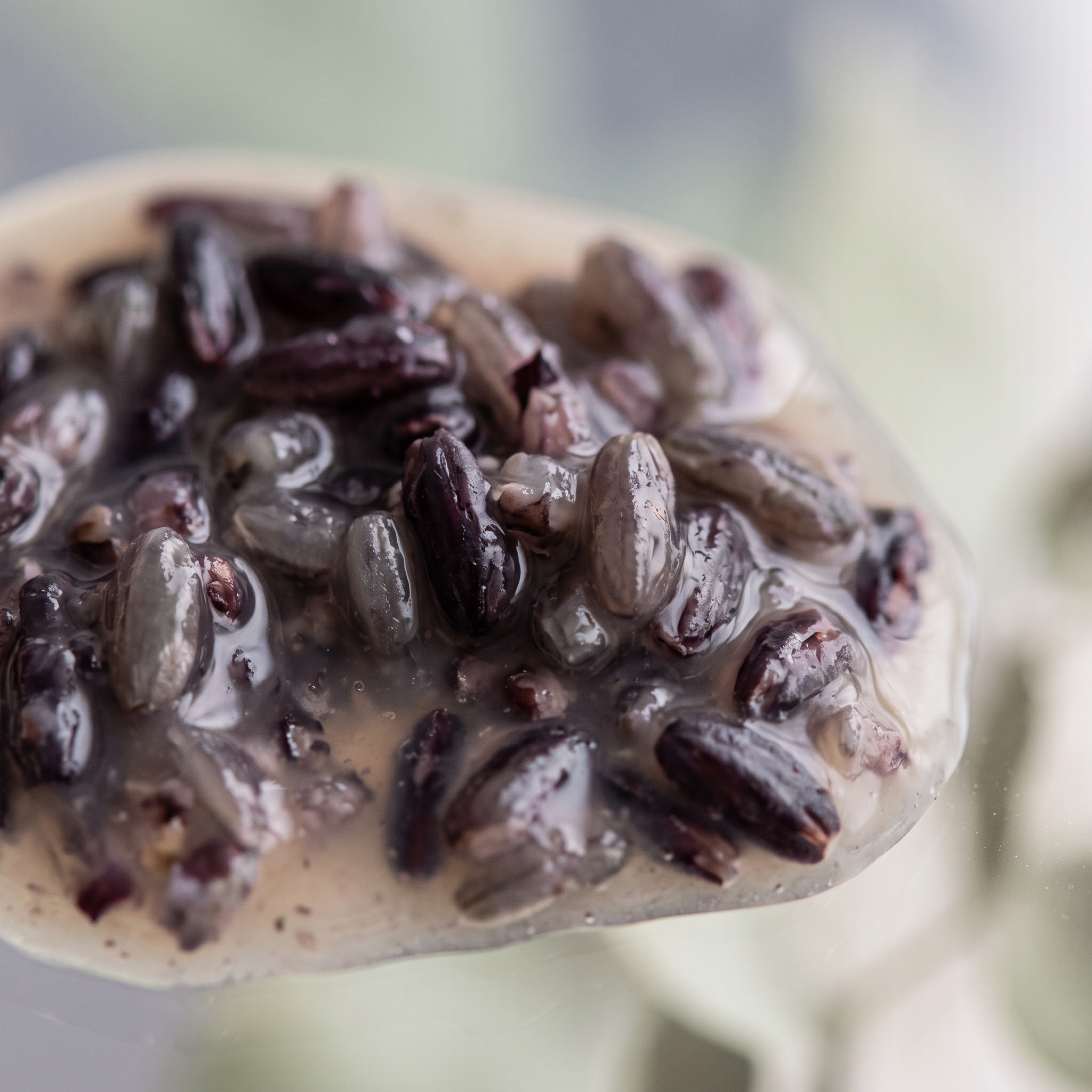 Fermented rice extract